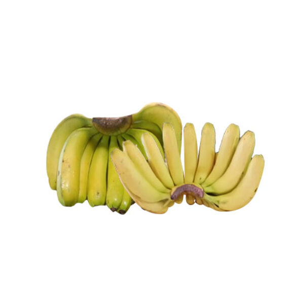 Pisang Ambon Lumut